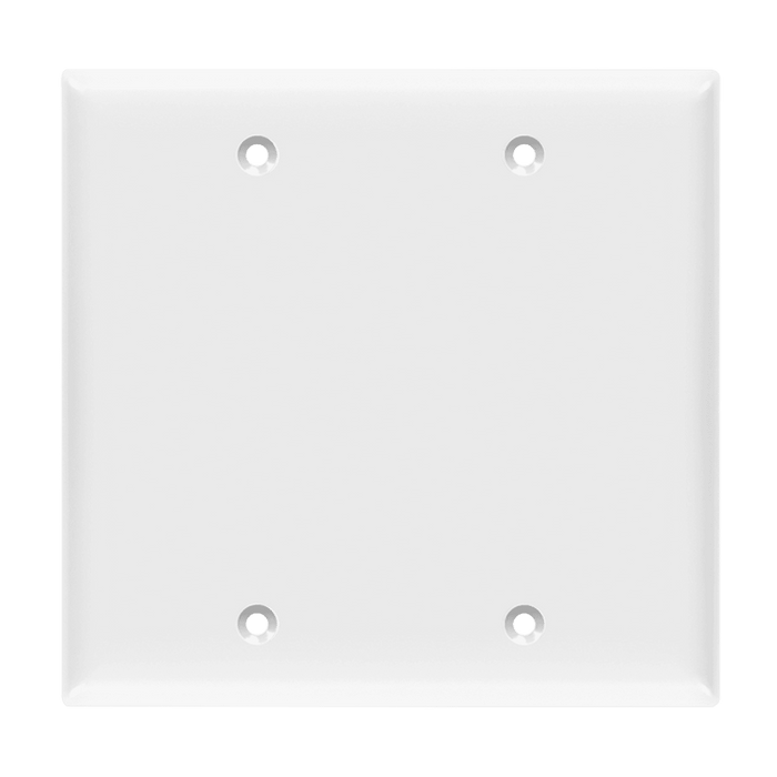 2G Blank Wall Plate - Metal