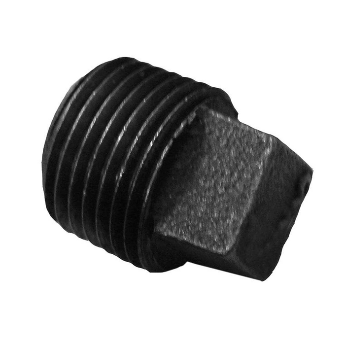 Black Plug